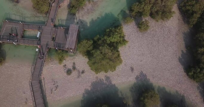 Birdseye Aerial View, Jubail Mangrove Park, Abu Dhabi Emirates, Natural Reserve and Visitors Boardwalk, Spinning Drone High Angle Shot