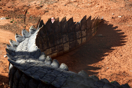 Crocs Bilder – Durchsuchen 20,028 Archivfotos, Vektorgrafiken und ...