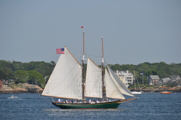 Sailing in the Bay 3