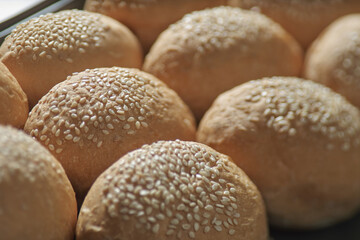 many baked sesame topping burger breads lay on oven tray waiting for cooking, shot with shallow focusing and tilted lens effect for background wallpaper.