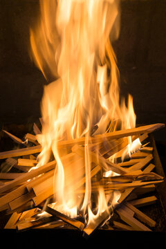 Wood