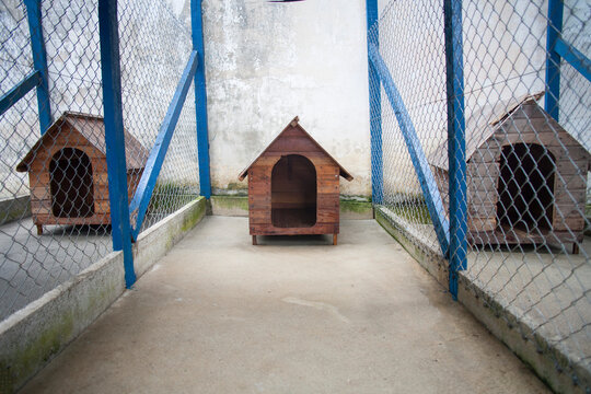 Dog House