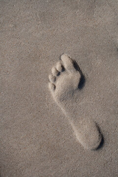 Footprint