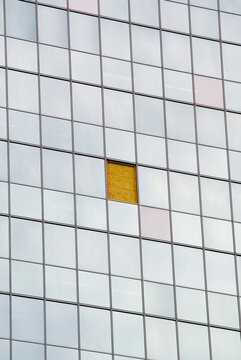 Window