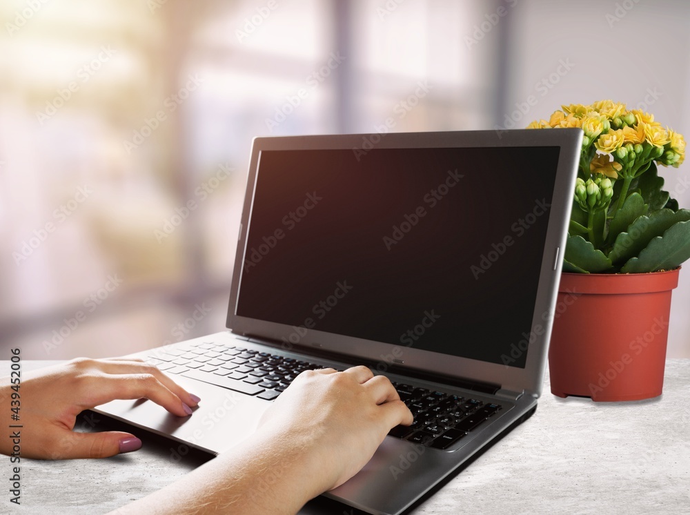 Poster empty computer screen blank mockup on a laptop with hands of the worker