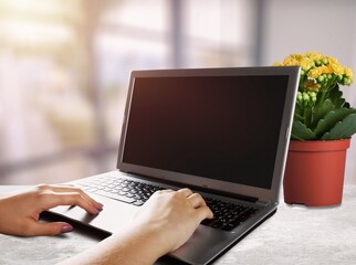 Empty computer screen blank mockup on a laptop with hands of the worker