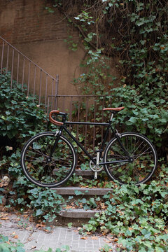 Street Scene With Bicycle
