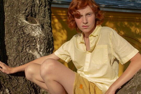 Red-haired, pretty boy on a tree