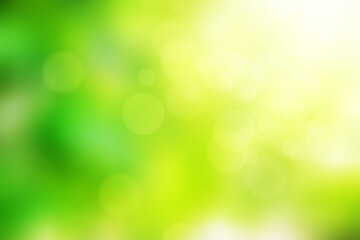 Fototapeta na wymiar Abstract blurred bokeh background image of light green foliage