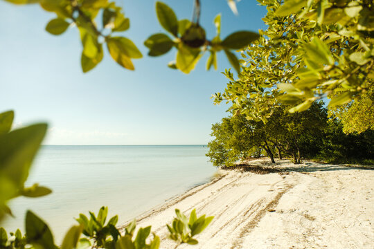 caribbean beach