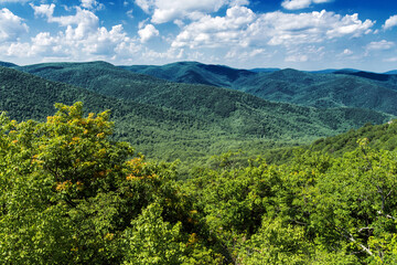 Fototapeta na wymiar View of Blue Ridge Mountains in Shenandoah National Park . Appalachian Mountains . Virginia, USA,
