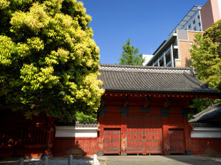 東京大学　赤門