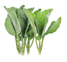 Chinese broccoli or chinese kale isolated on white background