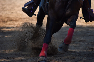 Horse and Rider