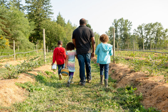 Family walks down blueberry row on farm