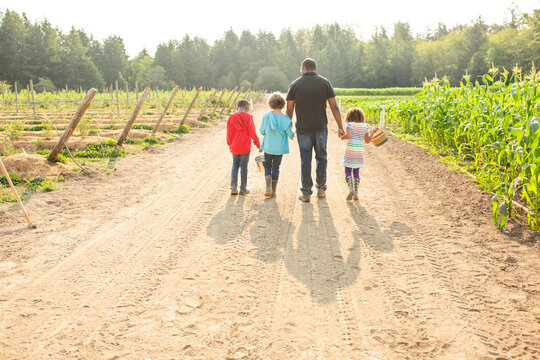 Black dad and three kids at u-pick farm