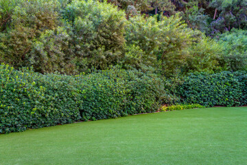 Garden area with artificial grass and shrubs and trees