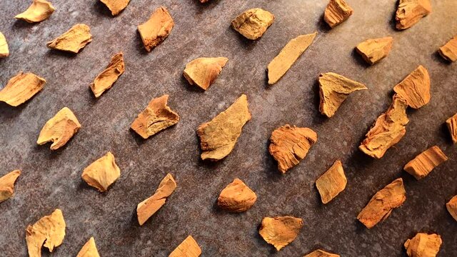 Raw whole dried Arjuna bark