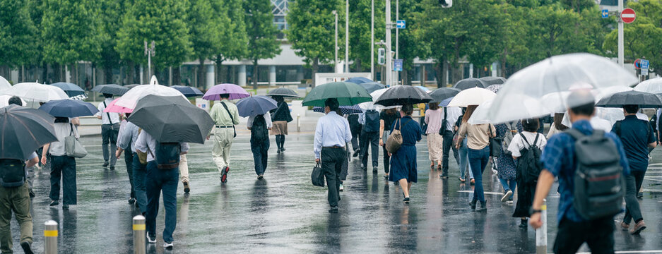 傘・雨