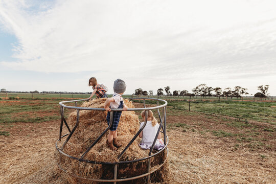 three kids in hay ring