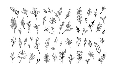 Floral and herbal ornament hand drawn designs. Leaves and branches nature doodles.