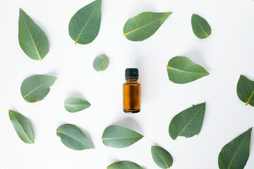 Flat lay image of amber essential oil bottle sitting of clump of eucalyptus gum leaves