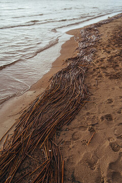 sea shore