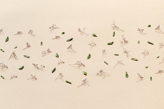 Floral pattern on beige background