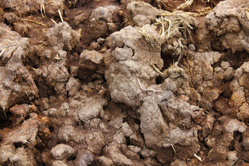detalhes de solo seco, solo de terra seca dry soil details, dry earth soil