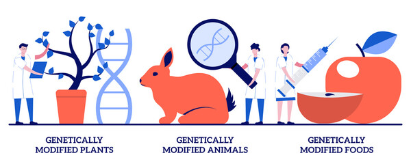 Genetically modified plants, animals and foods concept with tiny people. DNA engineering industry vector illustration set. GMO farming, transgenic crops, biotech product, nutrition safety metaphor