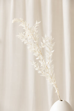 White leaves in white vase