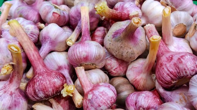 Stack of garlic in grocery store. Industry of selling products
