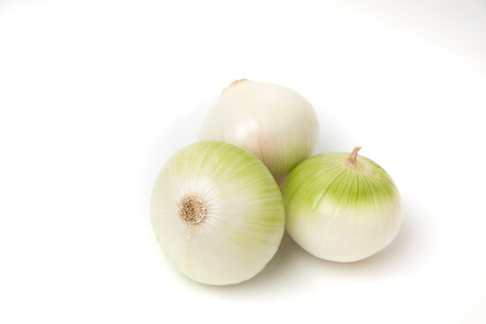 Cebolla blanca con fondo blanco