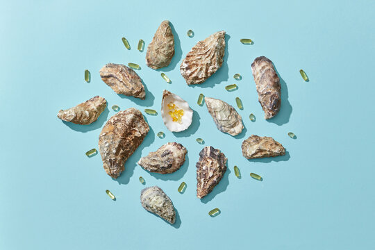 Omega vitamins in oysters shell