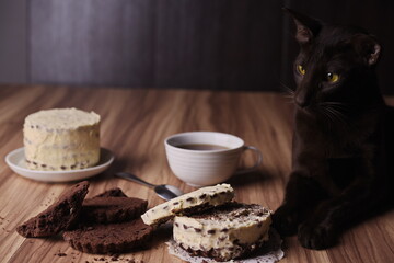 Brownie slices with buttercream on the table against the background of the cat lying there.