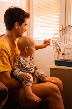 Father and baby playing with a parrot bird.