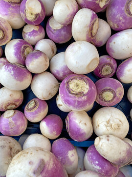 turnip