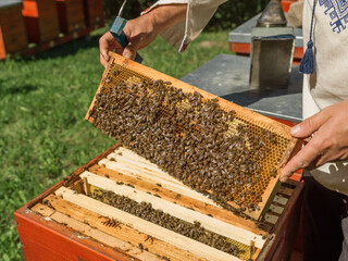 Crop beekeeper showing honeycomb over beehive