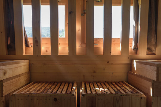 Beehives for apitherapy near window