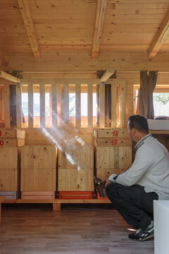 Beekeeper smoking bees during apitherapy