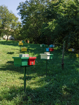 Nuc boxes on lawn in apiary