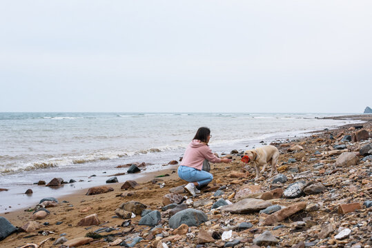 Dog fetching waste to woman near stormy sea