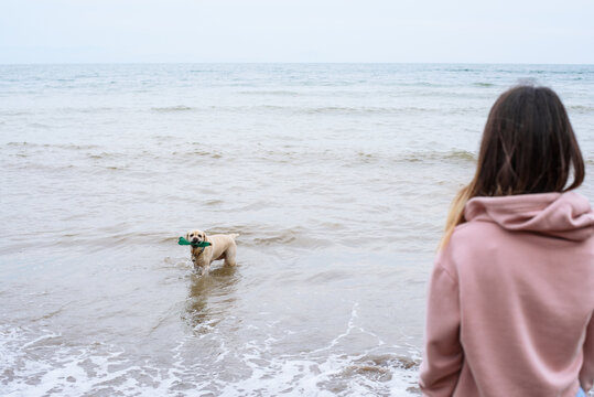 Anonymous woman looking at dog with plastic bottle in sea