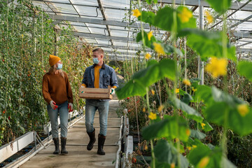 Farmers in masks walking and talking in greenhouse