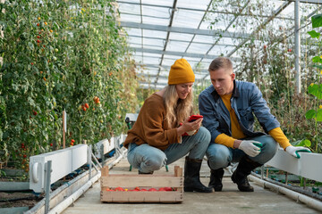 Young farmers using smartphone in greenhouse