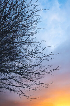 My Bit of Sky