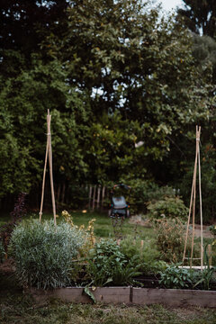 Square meter gardening with flowers