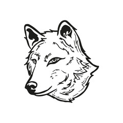 Outline Vector illustration of a Wolf Head