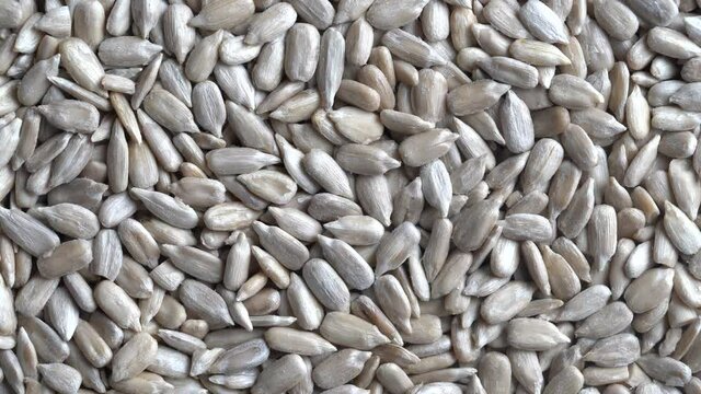 Peeled sunflower seeds pile background, close up, top view, rotates