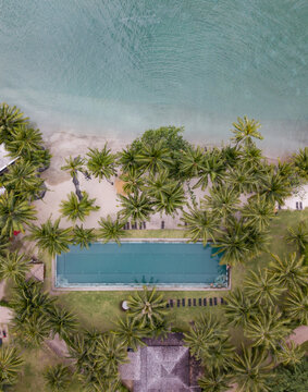 beach hotel with swimming pool, palm trees and tropical sea